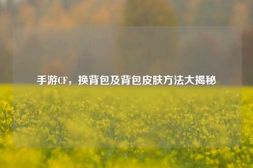 手游CF，换背包及背包皮肤     大揭秘