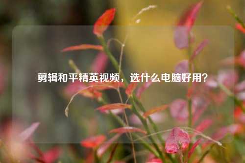 剪辑和平精英视频，选什么电脑好用？
