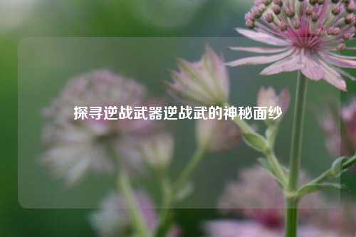 探寻逆战武器逆战武的神秘面纱