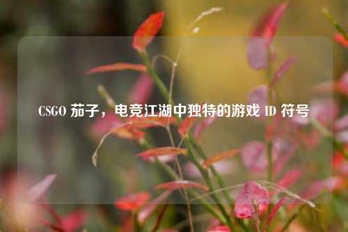 CSGO 茄子，电竞江湖中独特的游戏 ID 符号