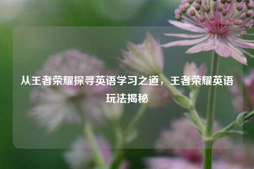 从王者荣耀探寻英语学习之道，王者荣耀英语玩法揭秘