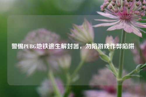 警惕PUBG地铁逃生解封器，勿陷游戏作弊陷阱