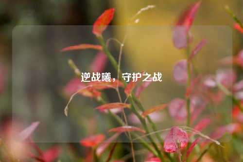 逆战曦，守护之战