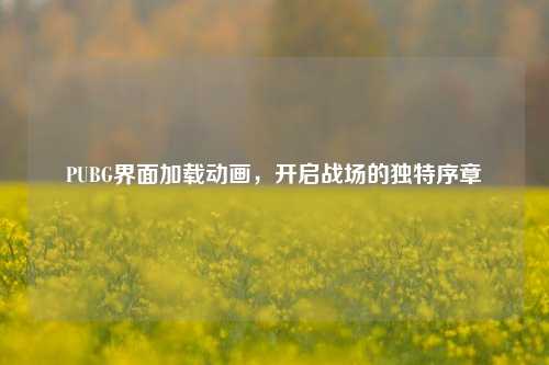 PUBG界面加载动画，开启战场的独特序章