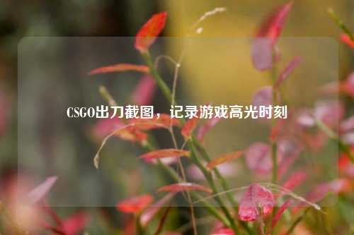 CSGO出刀截图，记录游戏高光时刻