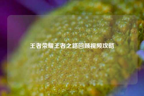 王者荣耀王者之路回顾视频攻略