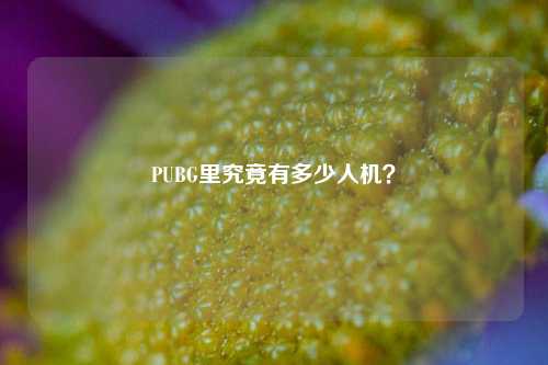 PUBG里究竟有多少人机？