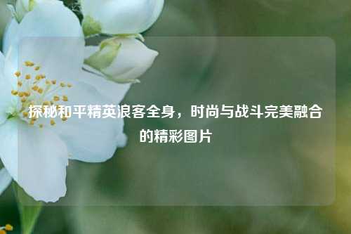 探秘和平精英浪客全身，时尚与战斗完美融合的精彩图片