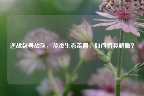 逆战封号战队，游戏生态毒瘤，如何将其解散？