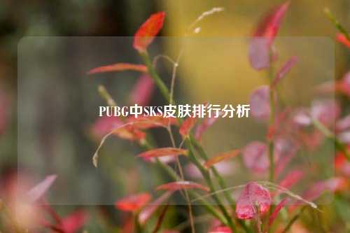 PUBG中SKS皮肤排行分析