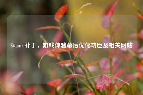 Steam 补丁，游戏体验幕后优化功臣及相关网站