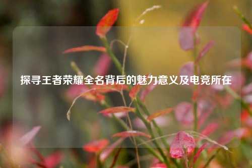 探寻王者荣耀全名背后的魅力意义及电竞所在